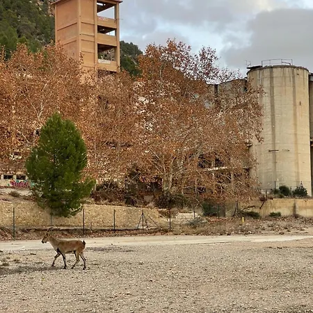 Muy Acogedora Hébergement de vacances Contreras